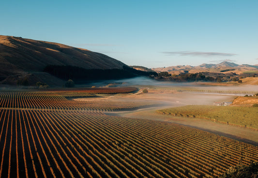 Martinborough : un paradis confidentiel