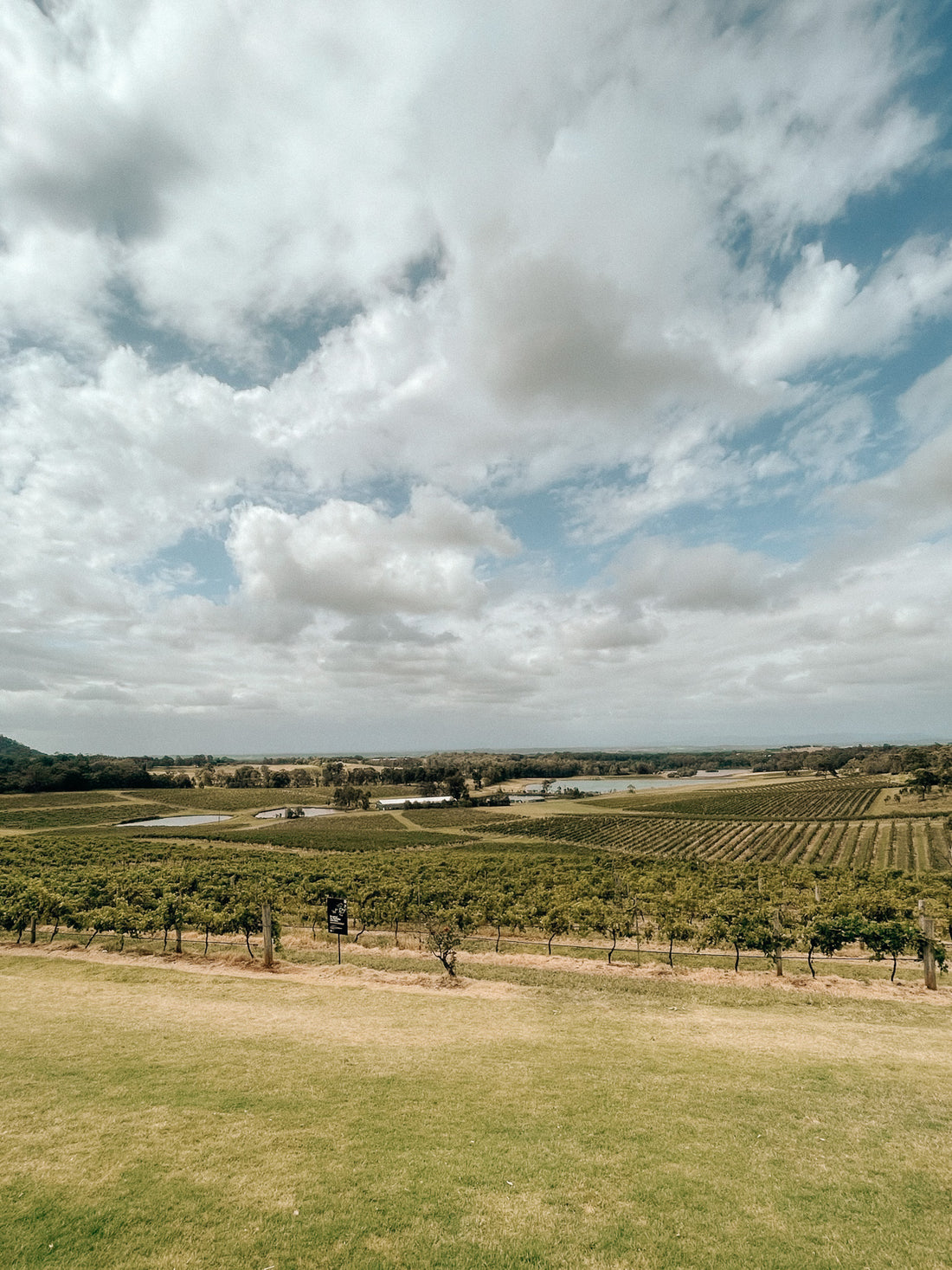 A la découverte de la Hunter Valley, Australie