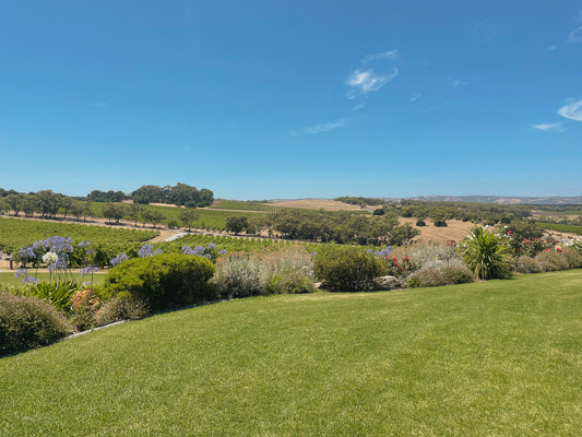 Mclaren Vale - Temple du bio australien