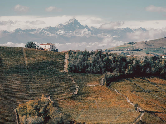 Le meilleur vin est-il vraiment français ?