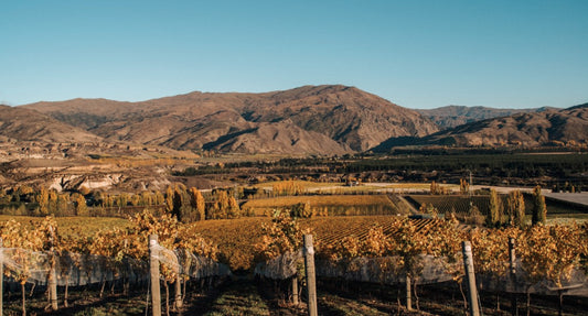 Central Otago : Un vignoble au bout du monde