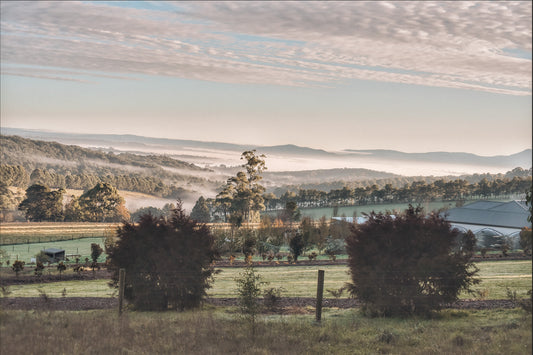 Yarra Valley - La vallée aux multiples facettes