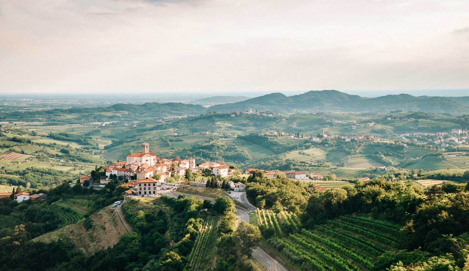 Vue d'un vignoble dans la région de Brda en Slovénie