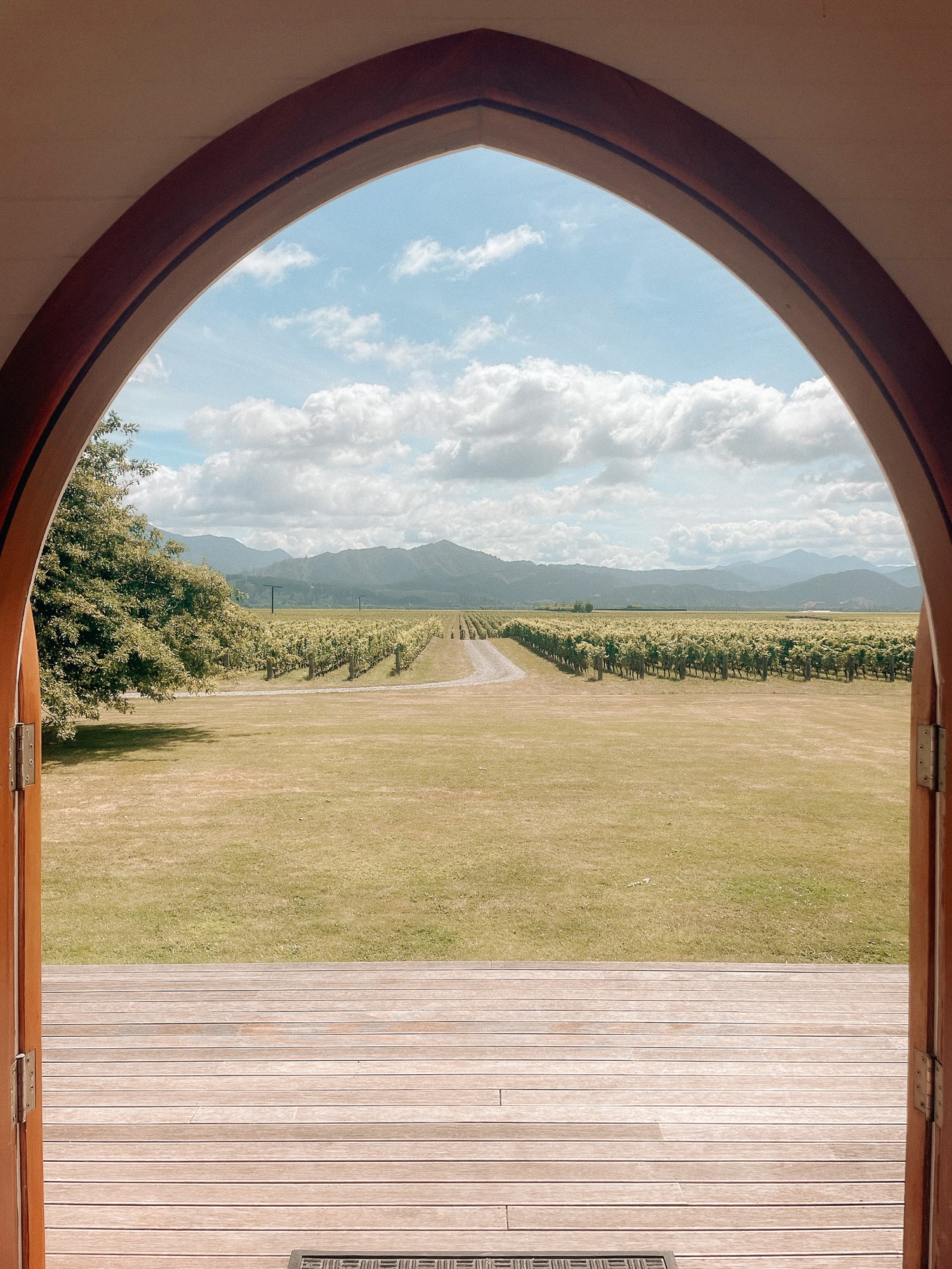 Vu des vignes et des montagne depuis la winery Clos Henry à Marlborough en Nouvelle-Zélande