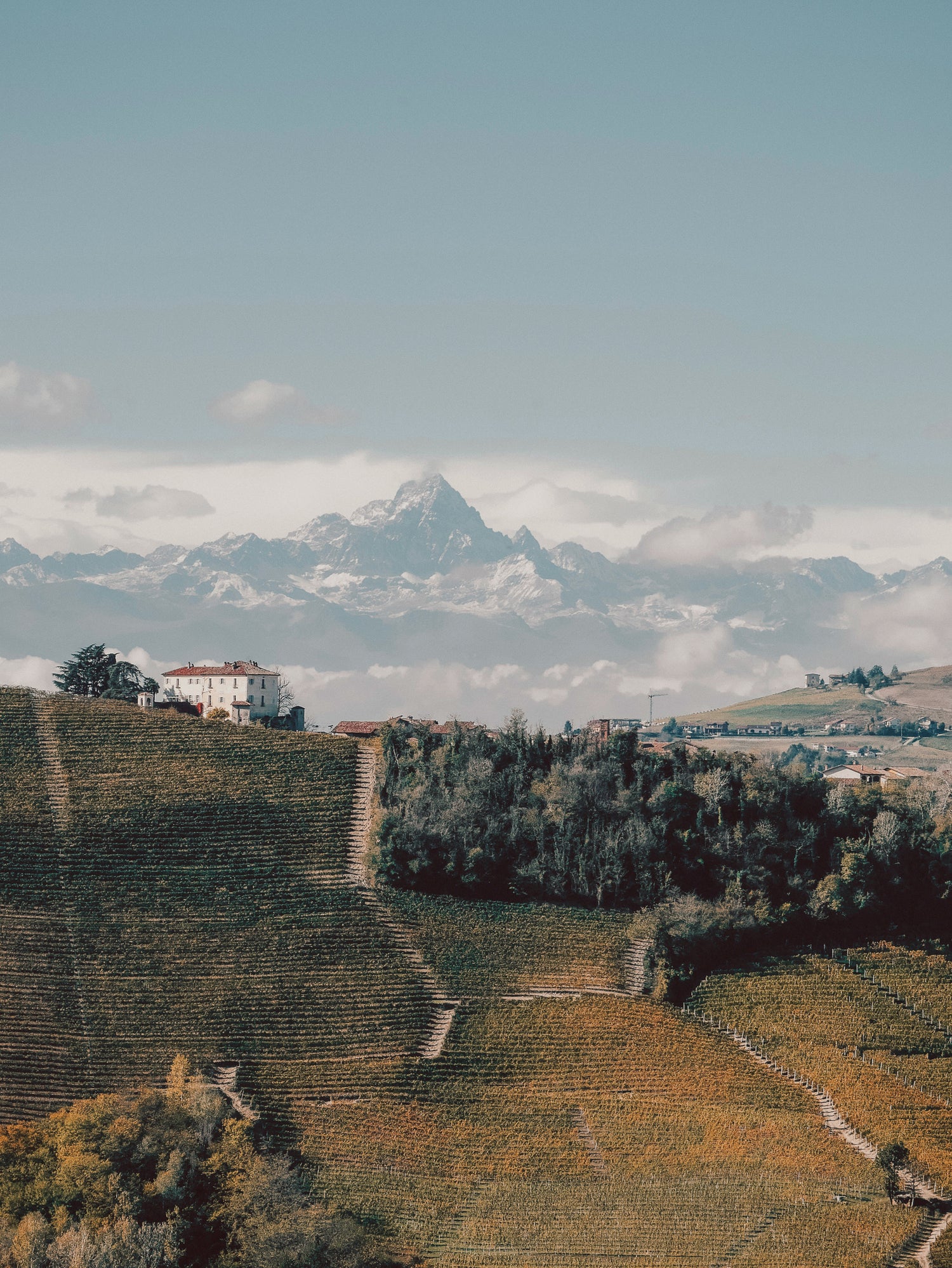 Vue des alpes depuis un vignoble piémontais - Crédit Photo : lisa van vliet