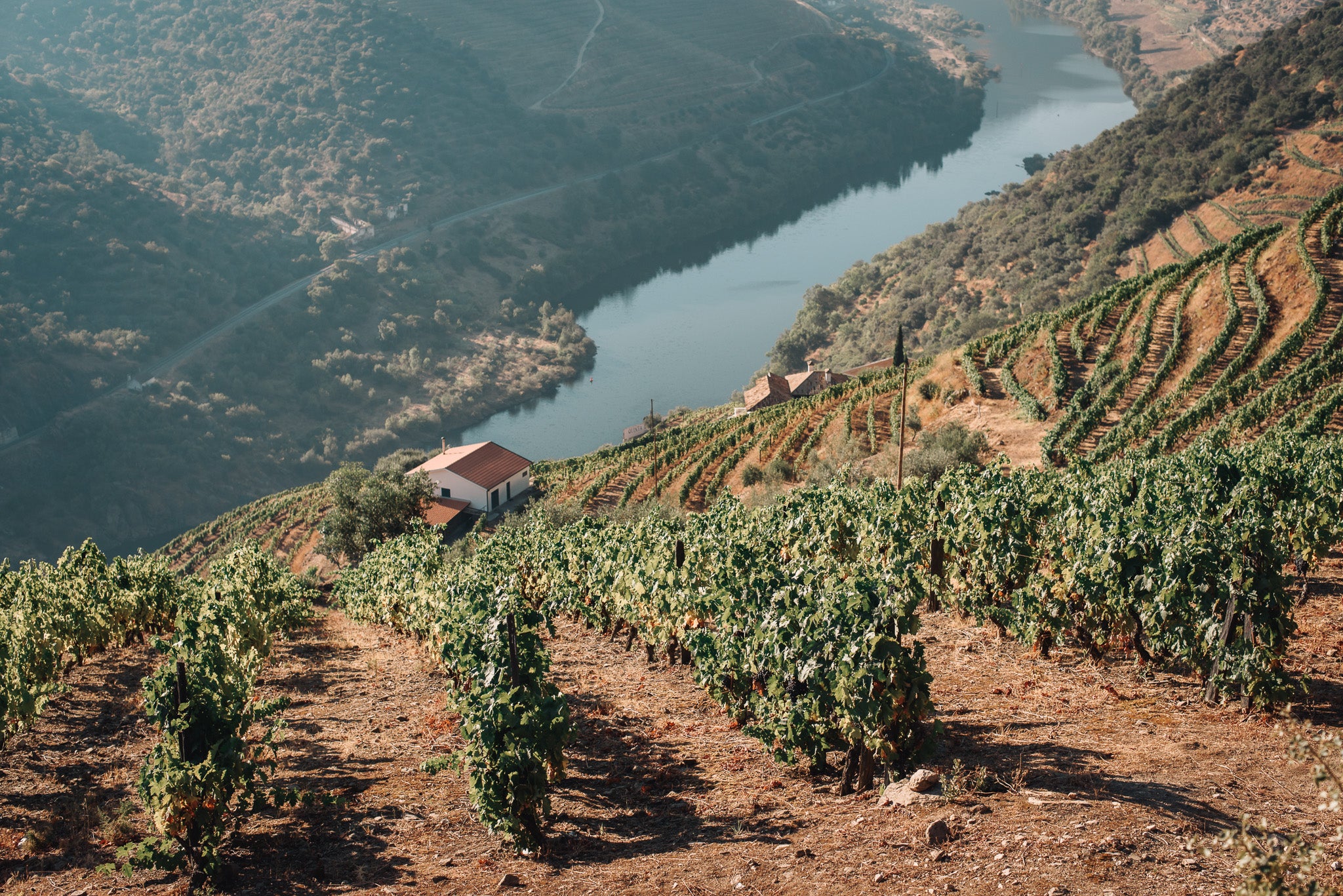 Paysage de vignes en terrasses sur le bord d'un fleuve en Géorgie - Crédit Photo Maksym Kaharlytskyi